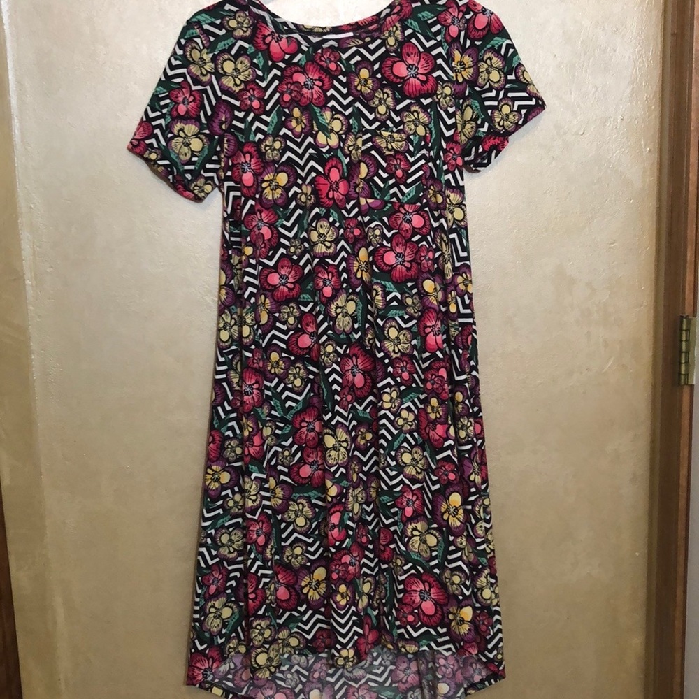 Lularoe Floral Carly Dress | XXS
